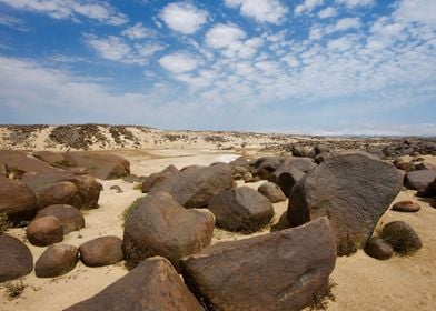 Namib Desert