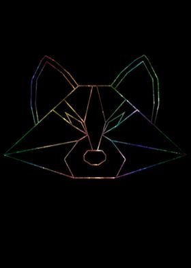 Neon raccoon