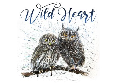 Wild Heard Owls