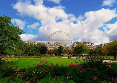 Jardin des Tuileries