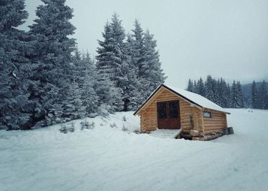 winter wood house