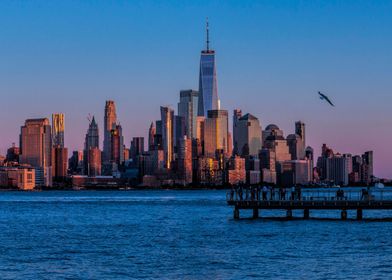 Liberty Tower and Seagull