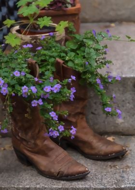 Garden Boots