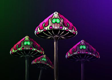 Mushrooms Stare 