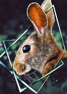 Hare Rabbit