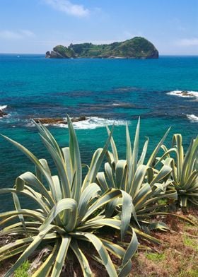 Islet and coastal vegetati