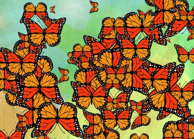 Monarch butterflies