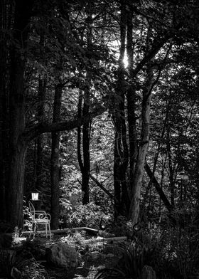 Empty Chair  Bird Feeder