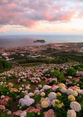 Vila Franca do Campo