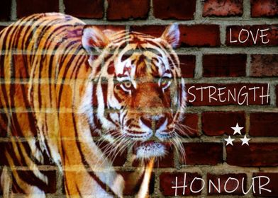 Tiger Love Strength Honour