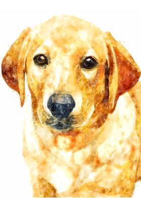 Cute Dog Watercolor Art