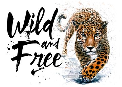 Leopard Wild and Free