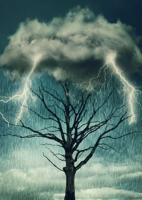 tree storm