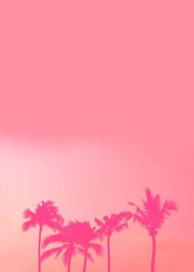 Pink palm silhouette