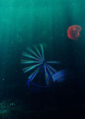 Underwater Circus