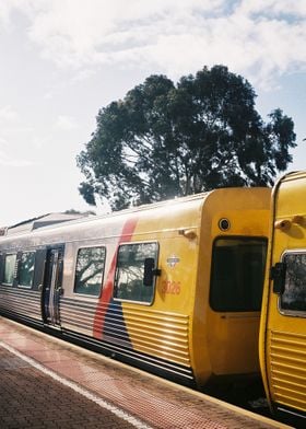 Train Photograph