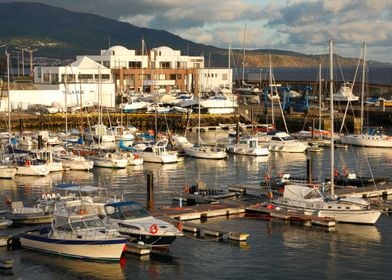 Marina in the Azores