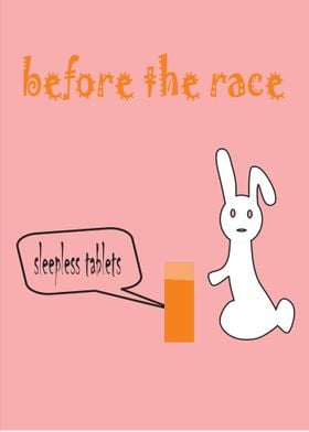 rabbit and turtle race 