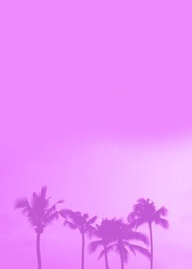 Purple palm silhouette