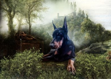 Dobermann