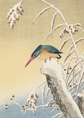 Kingfisher In The Snow 192