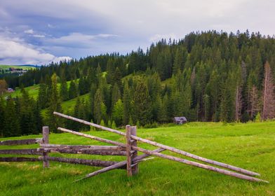 old rail fence