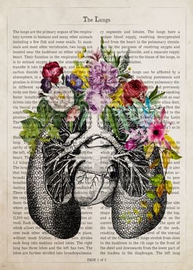 Lungs Flower Anatomy