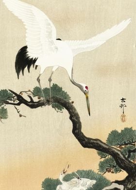 Japanese Crane Bird On Bra