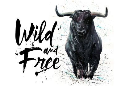 Buffalo Wild  and Free
