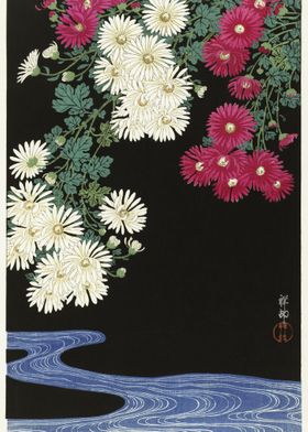 Chrysanthemums 19251936 By