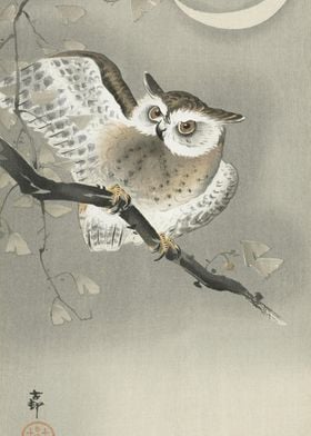 LongEared Owl In Ginkgo 19