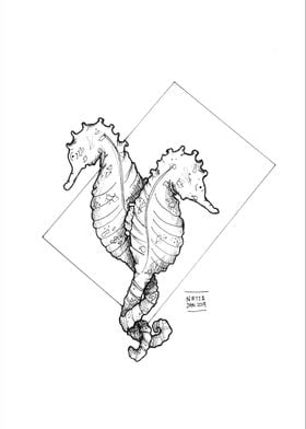 Seahorse Print Lineart