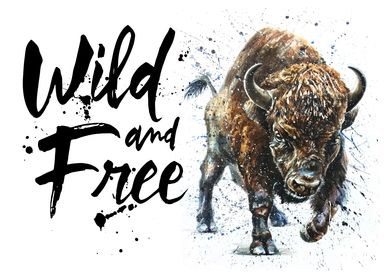 Buffalo Wild and Free