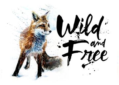 Fox wild  free watercolor
