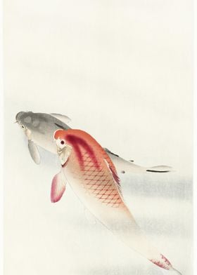 Two Carp 1900  1930 By Oha