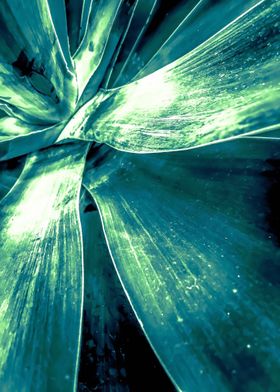 green leaves abstract