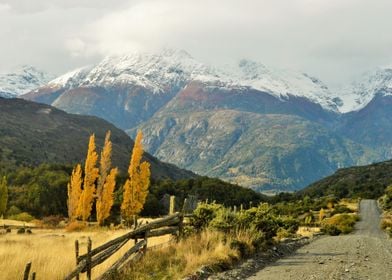 Patagonian autumn