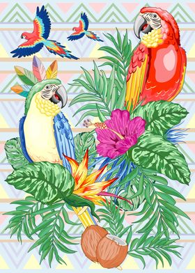 Macaw Parrots Exotic Dream