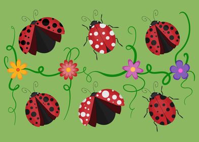 Ladybirds and flowers