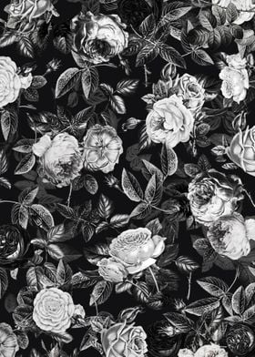 Black and White Roses