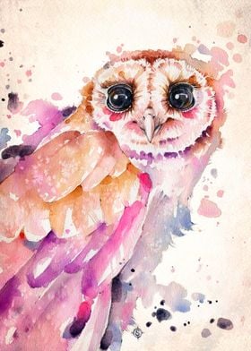 Owl Be Alright