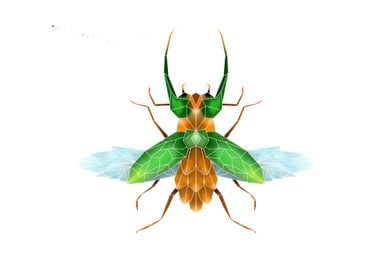 Geometric insect