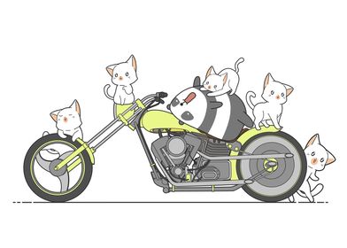 cats love motorcycle