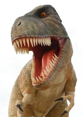 Tyrannosaurus Rex dinosaur