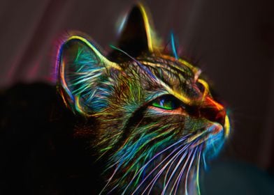 Neon Cat