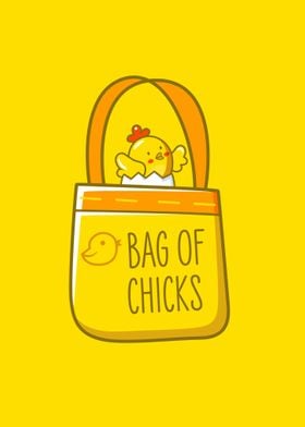 Bag of chicks 