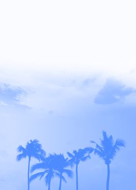 Palm tree silhouette blue