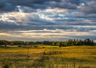 Grain Fields in Lithuania