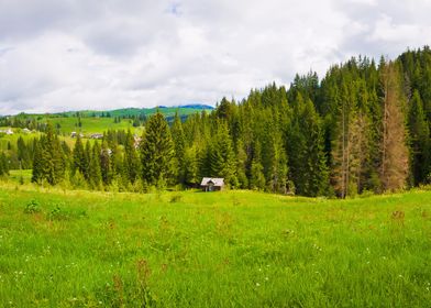 Picturesque Carpathians