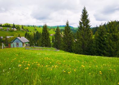 Carpathian village